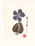 Common Periwinkle and Leaf Card