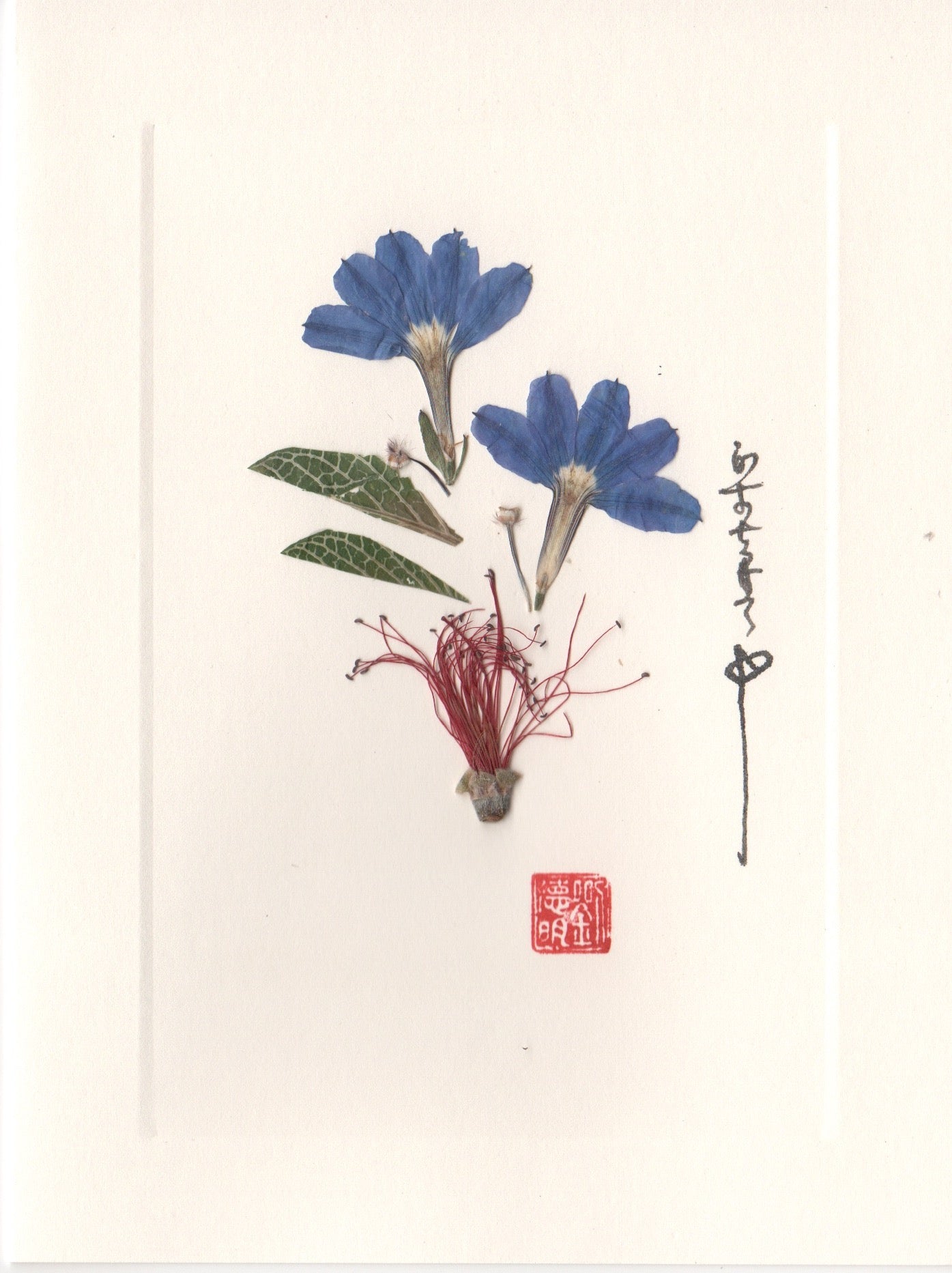 Fairy Fan-Flower Card