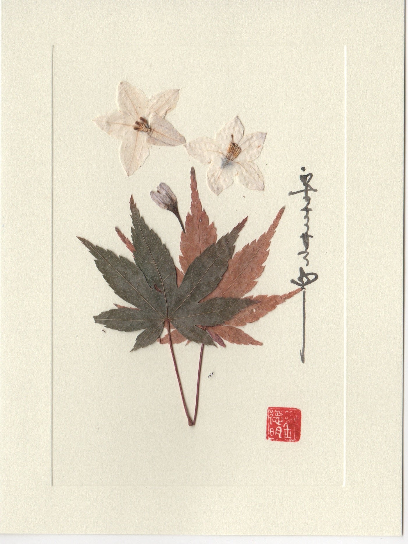 Palo Verde Flower Card