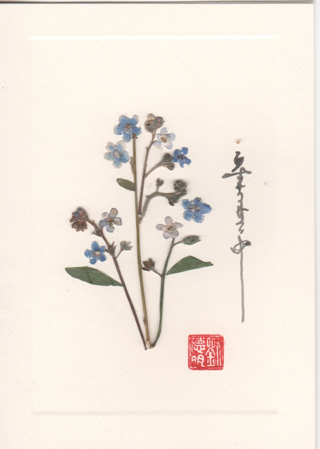 Forget-Me-Not Card