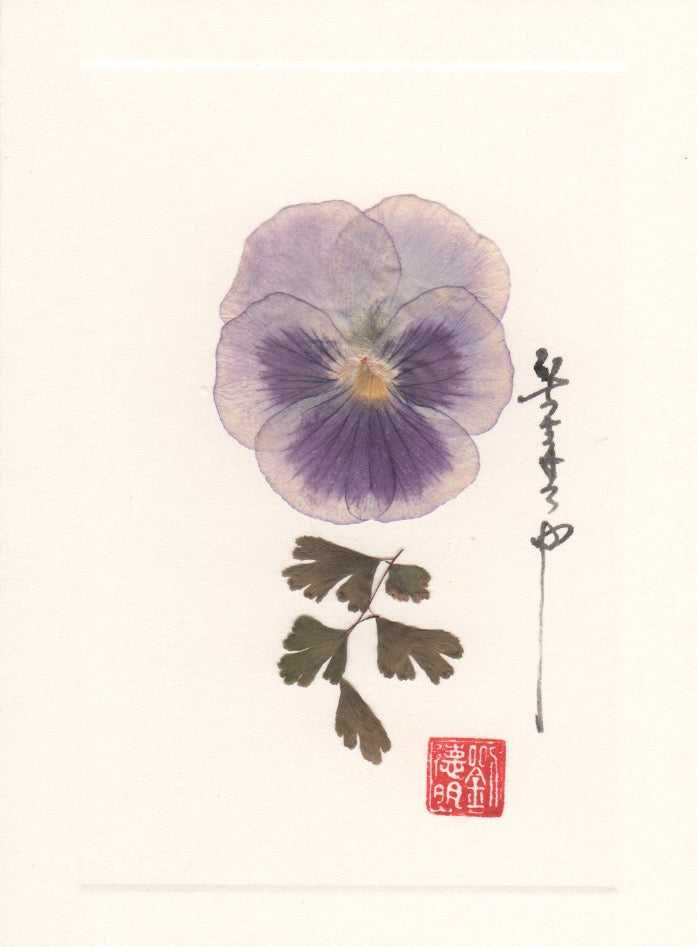 Pansy Card