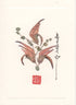 Bird of Paradise Flower Card