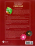 Wondrous One Sheet Origami
